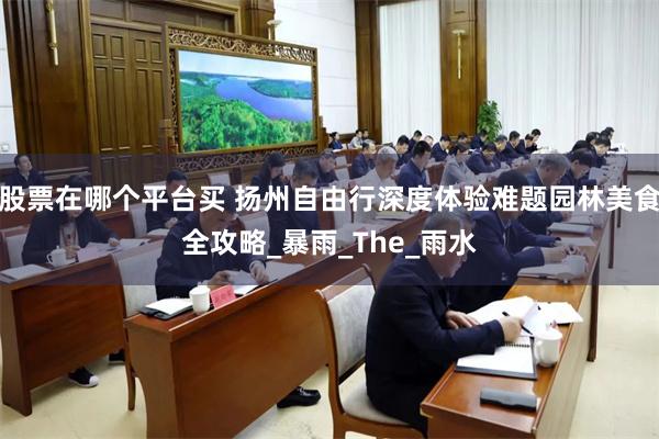 股票在哪个平台买 扬州自由行深度体验难题园林美食全攻略_暴雨_The_雨水