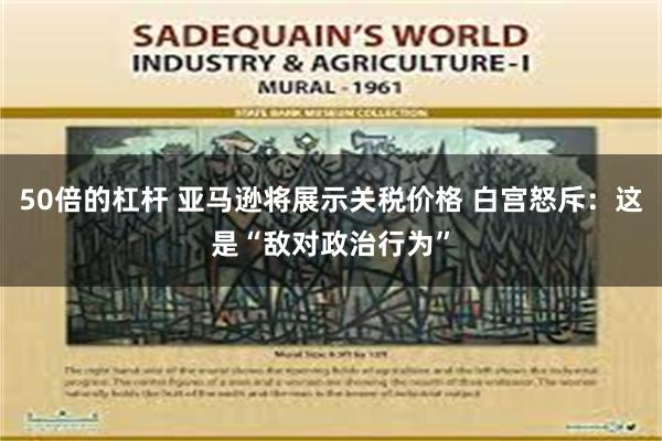 50倍的杠杆 亚马逊将展示关税价格 白宫怒斥：这是“敌对政治行为”