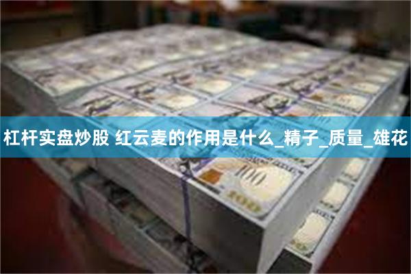 杠杆实盘炒股 红云麦的作用是什么_精子_质量_雄花