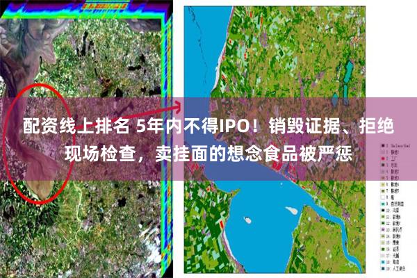 配资线上排名 5年内不得IPO！销毁证据、拒绝现场检查，卖挂面的想念食品被严惩