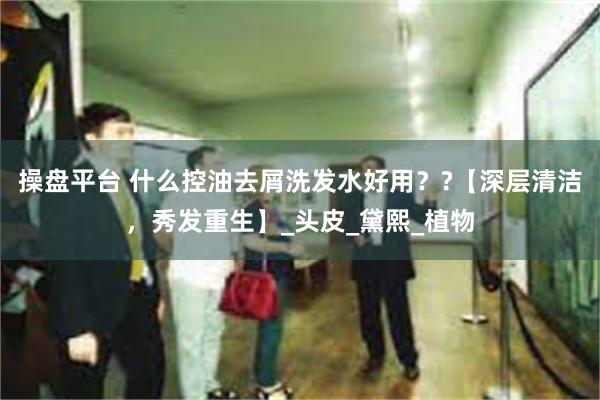 操盘平台 什么控油去屑洗发水好用??【深层清洁,秀发重生】_头皮_黛熙_植物
