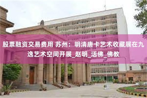 股票融资交易费用 苏州：明清唐卡艺术收藏展在九逸艺术空间开展_赵明_活佛_佛教