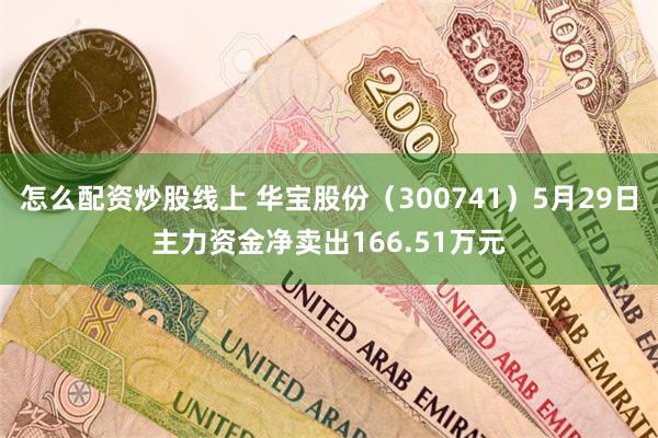 怎么配资炒股线上 华宝股份(300741)5月29日主力资金净卖出166.51万元