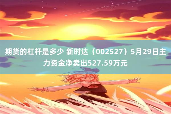 期货的杠杆是多少 新时达(002527)5月29日主力资金净卖出527.59万元