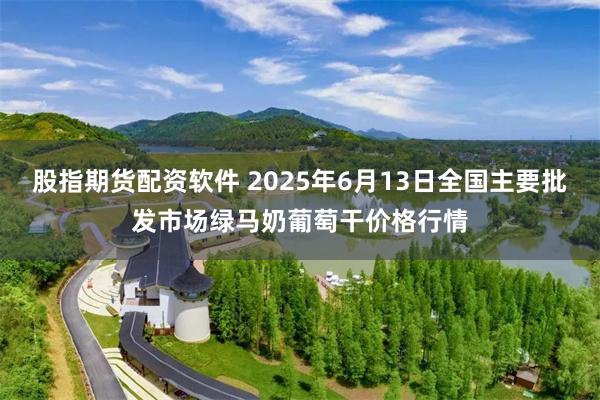 股指期货配资软件 2025年6月13日全国主要批发市场绿马奶葡萄干价格行情