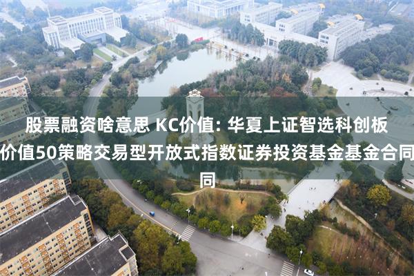 股票融资啥意思 KC价值: 华夏上证智选科创板价值50策略交易型开放式指数证券投资基金基金合同