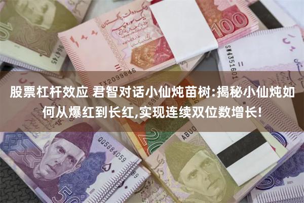 股票杠杆效应 君智对话小仙炖苗树:揭秘小仙炖如何从爆红到长红,实现连续双位数增长!