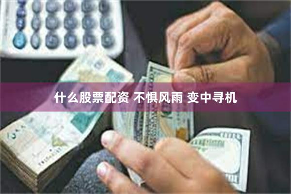 什么股票配资 不惧风雨 变中寻机