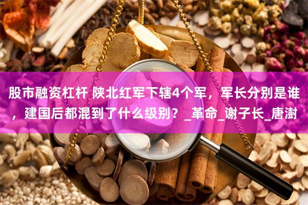 股市融资杠杆 陕北红军下辖4个军,军长分别是谁,建国后都混到了什么级别?_革命_谢子长_唐澍