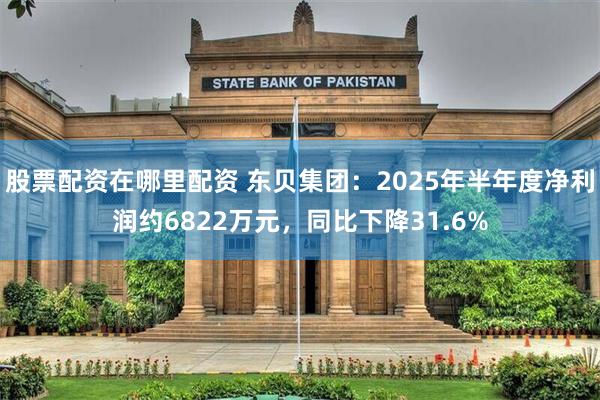 股票配资在哪里配资 东贝集团：2025年半年度净利润约6822万元，同比下降31.6%