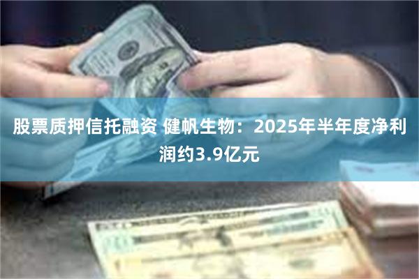 股票质押信托融资 健帆生物：2025年半年度净利润约3.9亿元