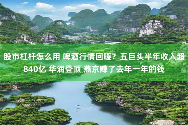 股市杠杆怎么用 啤酒行情回暖?五巨头半年收入超840亿 华润登顶 燕京赚了去年一年的钱